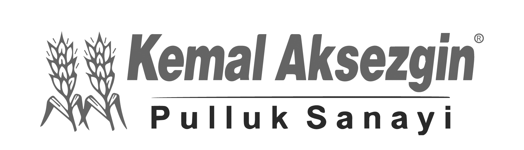 Kemal Aksezgin logosu