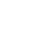 Zlin Motors logosu